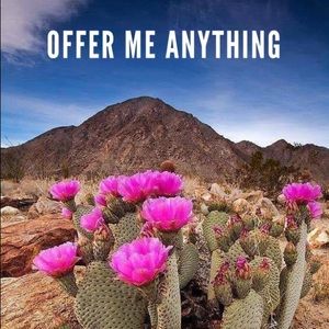 Closet clear out !!!